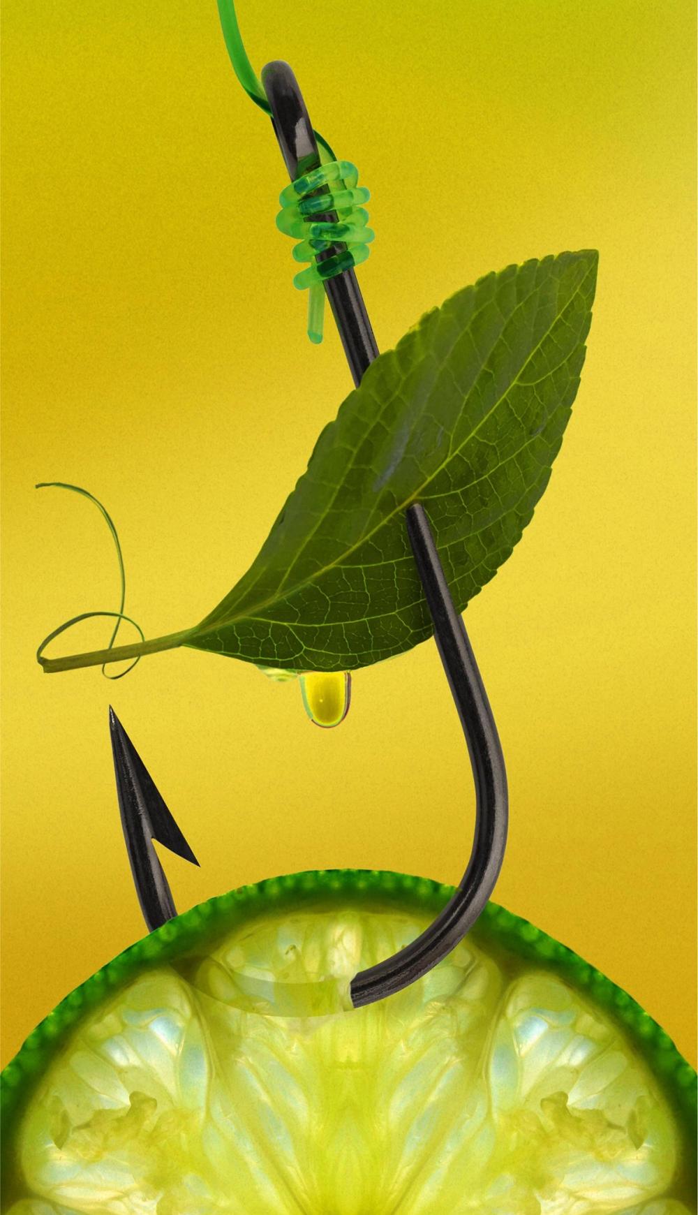 850034751184 Bergamot Superior Candle 7oz