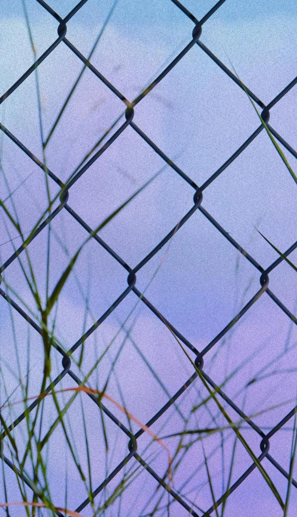 810122100263 Wild Brooklyn Lavender Hand Soap