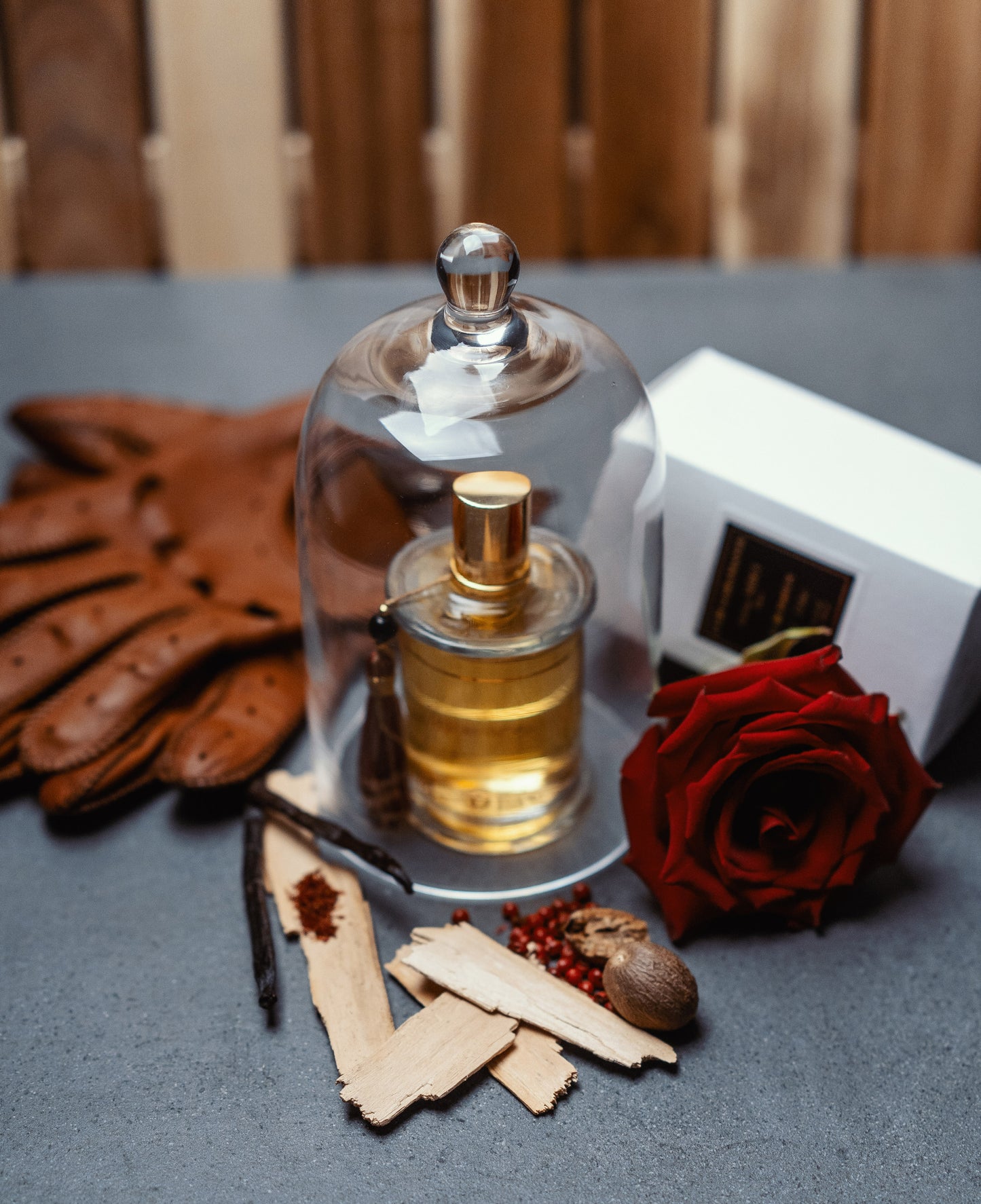 Cuir Garamante Without Bust 3770001735689