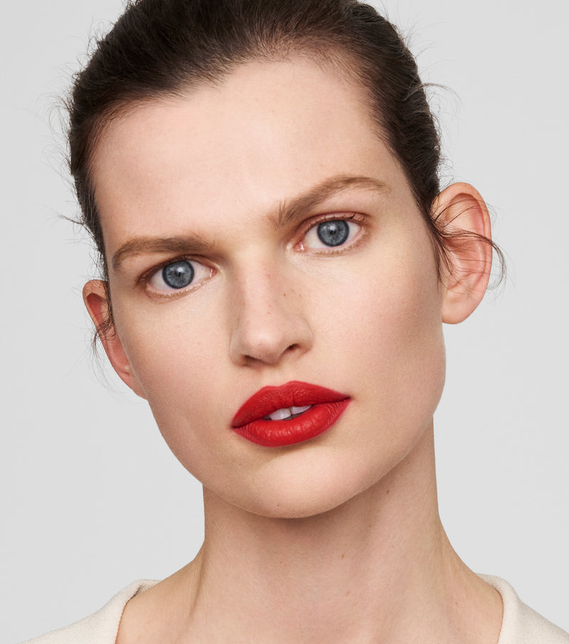 Lip Suede Matte Lipstick Le Rouge 810102033949