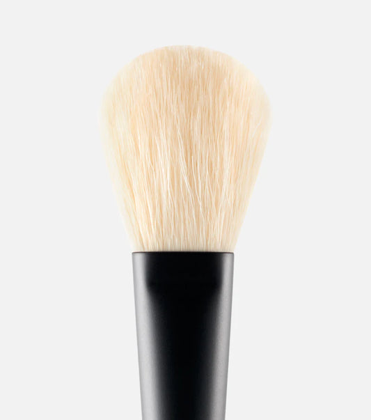 Powder Brush Powder Brush