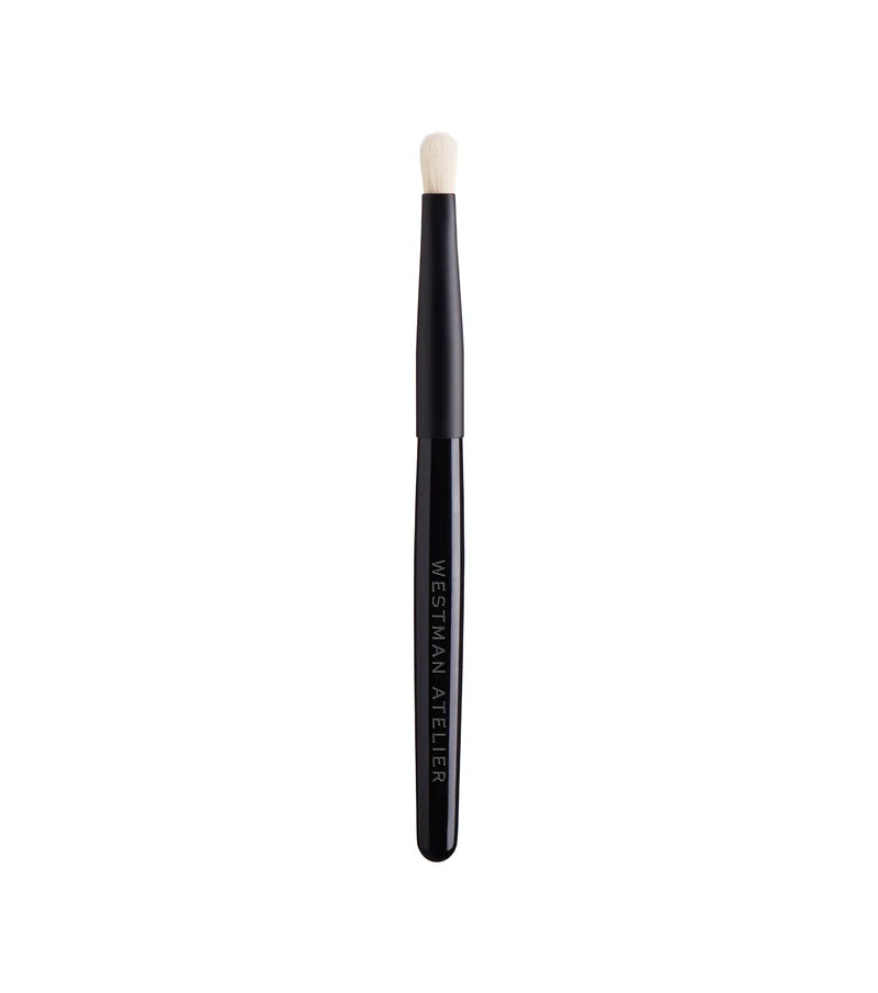 Spot Check Brush Spot Check Brush