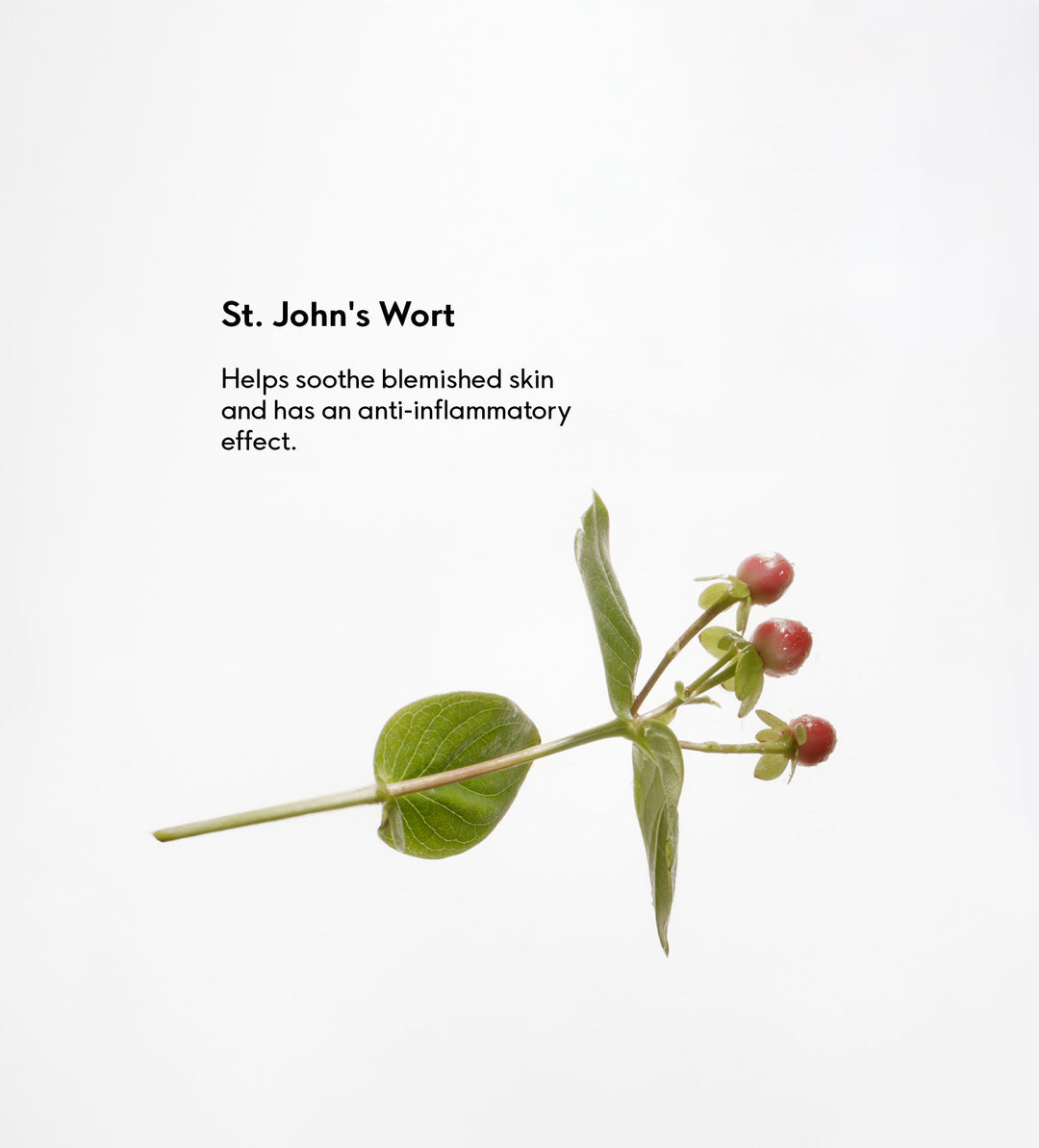 St. John`s Wort Bath 400g 9120037354493