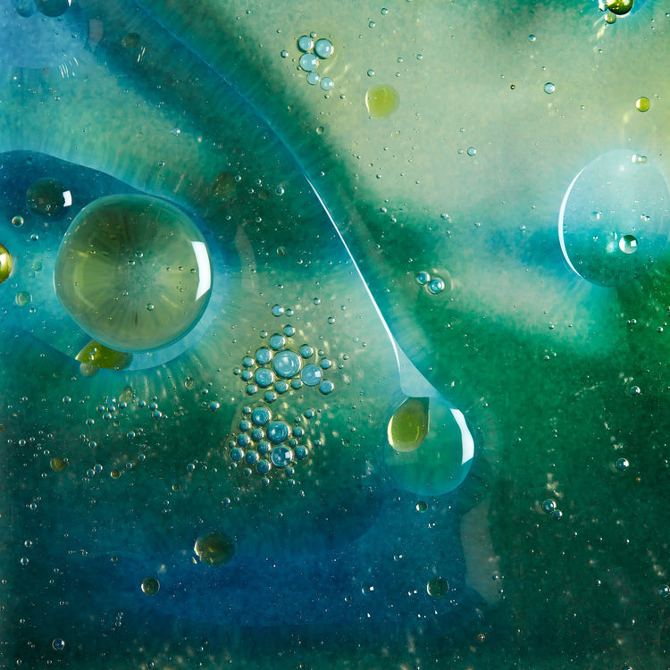 Hildegaard