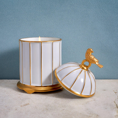 816279011391 Birdcage Candle -220g